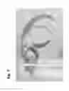 Fig. 08 - Micropropagation of date palm