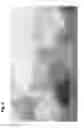 Fig. 07 - Micropropagation of HDT date palm