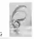 Fig. 08 - Micropropagation of HDT date palm