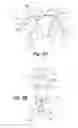 Fig. 03 - Hip lift animal harness device
