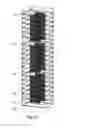 Fig. 14 - Insect spawning container, facility and method for breeding insects