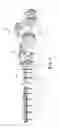 Fig. 02 - Airfoil for facilitating fluid delivery