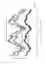 Fig. 04 - Psyllium fumigated with methyl bromide
