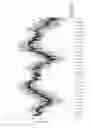 Fig. 05 - Psyllium fumigated with methyl bromide
