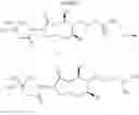 Fig. 10 - MACROCYCLIC PICOLINAMIDES AS FUNGICIDES