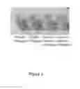 Fig. 04 - Composition for colouring cheese curd