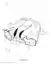 Fig. 05 - Pants