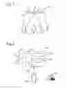 Fig. 02 - Smart apparel