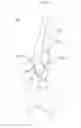 Fig. 04 - Athletic garment with interchangeable ventilated sleeves