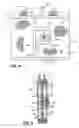 Fig. 06 - Article of clothing having magnetic fastening assemblies