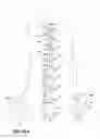 Fig. 22 - Article of clothing having magnetic fastening assemblies