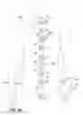Fig. 31 - Article of clothing having magnetic fastening assemblies