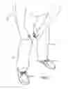 Fig. 02 - RESILIENT BAND AND METHOD FOR USING SAME TO PREVENT CLOTHING FROM CONTACTING UNSANITARY SURFACES