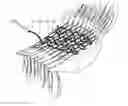 Fig. 01 - Hair tapestry weaving tool