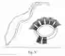 Fig. 05 - Artificial lash extensions