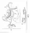 Fig. 04 - Hockey skate