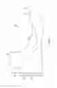 Fig. 05 - Hockey skate