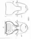 Fig. 07 - Hockey skate