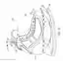 Fig. 13 - Hockey skate