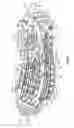 Fig. 05 - SOLE STRUCTURE WITH CHEVRON TRACTION ELEMENTS