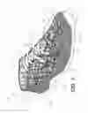 Fig. 02 - Hybrid braided article