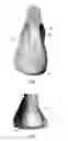 Fig. 14 - Last for an article of footwear