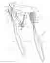 Fig. 01 - DOUBLE HEADED TOOTHBRUSH WITH FLOSS