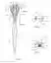 Fig. 05 - DOUBLE HEADED TOOTHBRUSH WITH FLOSS