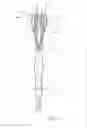 Fig. 09 - DOUBLE HEADED TOOTHBRUSH WITH FLOSS
