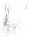 Fig. 11 - DOUBLE HEADED TOOTHBRUSH WITH FLOSS