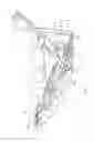 Fig. 17 - Modular assembly for high leg row seating