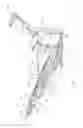 Fig. 18 - Modular assembly for high leg row seating