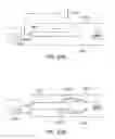 Fig. 35 - Minimally invasive surgical system