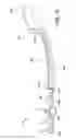 Fig. 17 - Endotracheal tube insertion device