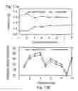 Fig. 13 - SYSTEMS AND METHODS FOR FUNCTIONAL OPTICAL COHERENCE TOMOGRAPHY
