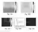 Fig. 16 - SYSTEMS AND METHODS FOR FUNCTIONAL OPTICAL COHERENCE TOMOGRAPHY