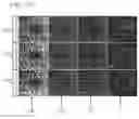 Fig. 12 - In vivo optical flow imaging