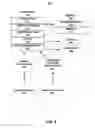 Fig. 07 - Assessing intra-cardiac activation patterns