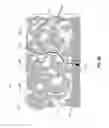 Fig. 14 - ANALYTE SENSOR