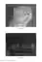 Fig. 20 - ANALYTE SENSOR