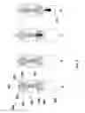 Fig. 04 - DEVICE AND METHOD FOR SAMPLE COLLECTION