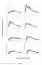 Fig. 15 - SYSTEMS AND METHODS FOR DETERMINING IMAGE QUALITY AND MODELS BASED ON CONTRAST INJECTION PROTOCOLS