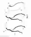 Fig. 04 - Apparatus for vessel characterization