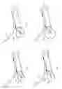 Fig. 05 - Systems and methods for body passage navigation and visualization