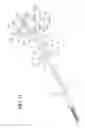 Fig. 15 - Surgical instrument with articulation region