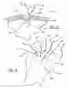 Fig. 08 - Non-sliding soft anchor