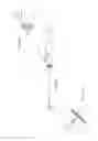 Fig. 29 - Suture capturing device for use in arthroscopic procedures