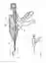Fig. 101 - Arthroscopic surgical device