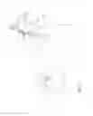 Fig. 105 - Arthroscopic surgical device