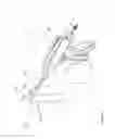 Fig. 107 - Arthroscopic surgical device